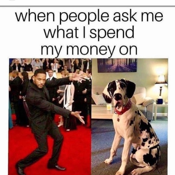 |•AMERICAN🦅EAGLE•| Hi-Rise Shortie Shorts Distressed w/ Flowers - Picture 11 of 11